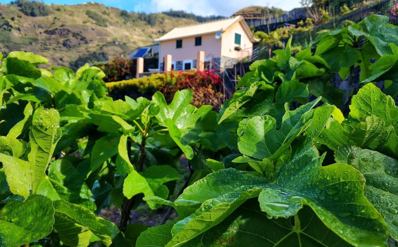 Willa Quinta Terezinha Ribeira Brava Zewnętrze zdjęcie